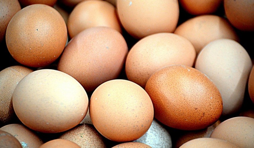 Шеф-повар Мартин не советует хранить яйца в холодильнике