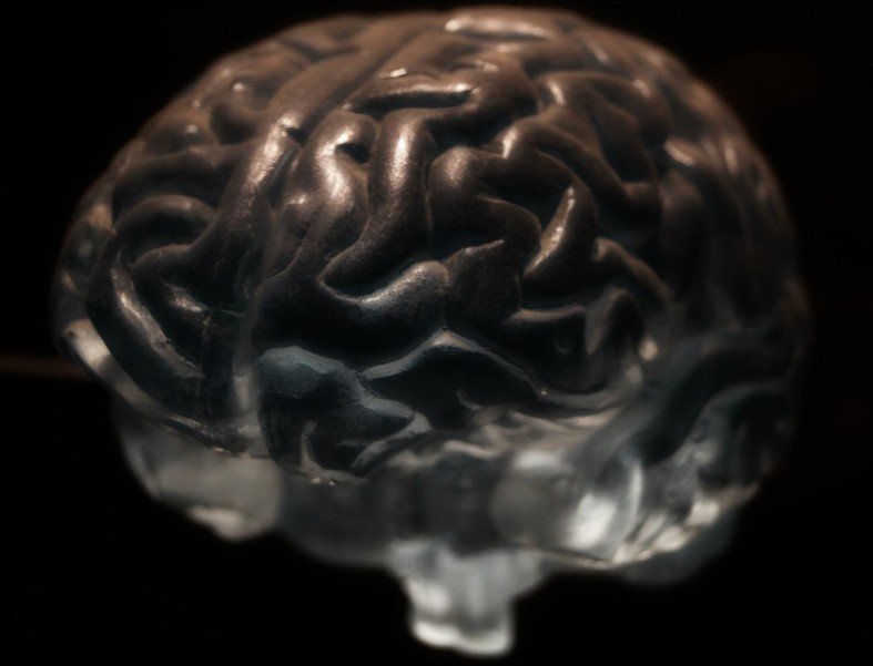 Ученые создали сенсор для головного мозга с улучшенной в 100 раз детализацией