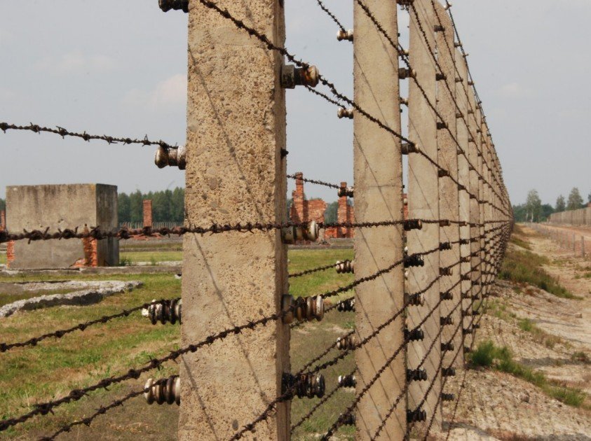 Строительство заграждения на белорусско-польской границе начнется 25 января