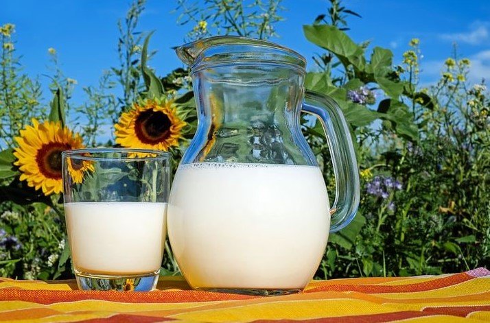Нутрициолог Богданова назвала пользу и вред молока