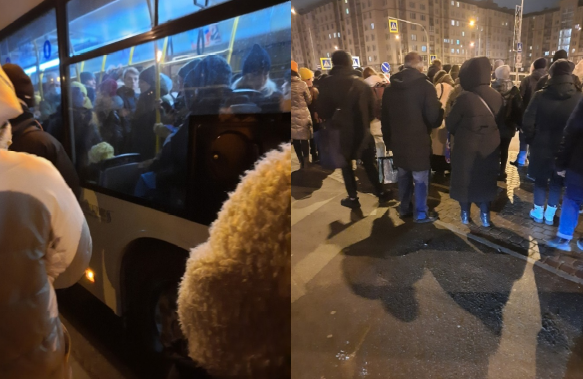 Жители Петербурга рассказали о связанных с «лазурными» автобусами Смольного проблемах