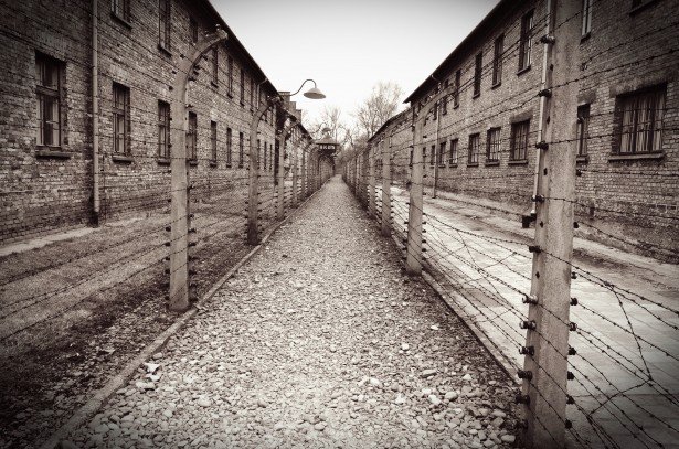 27 января - Международный день памяти жертв холокоста