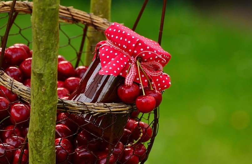 Названы полезные свойства вишневого сока для здоровья