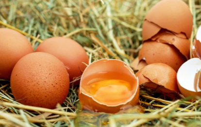 Японский врач Курихара заявил, что пожилые люди должны употреблять от 3 до 5 яиц в день