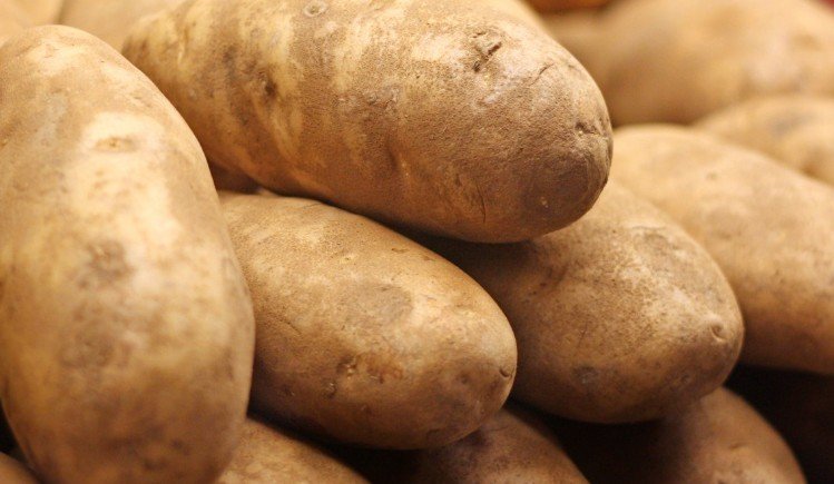 Врач Кореневич рассказала, с чем нельзя употреблять картофель: «Удерживает лишний вес»