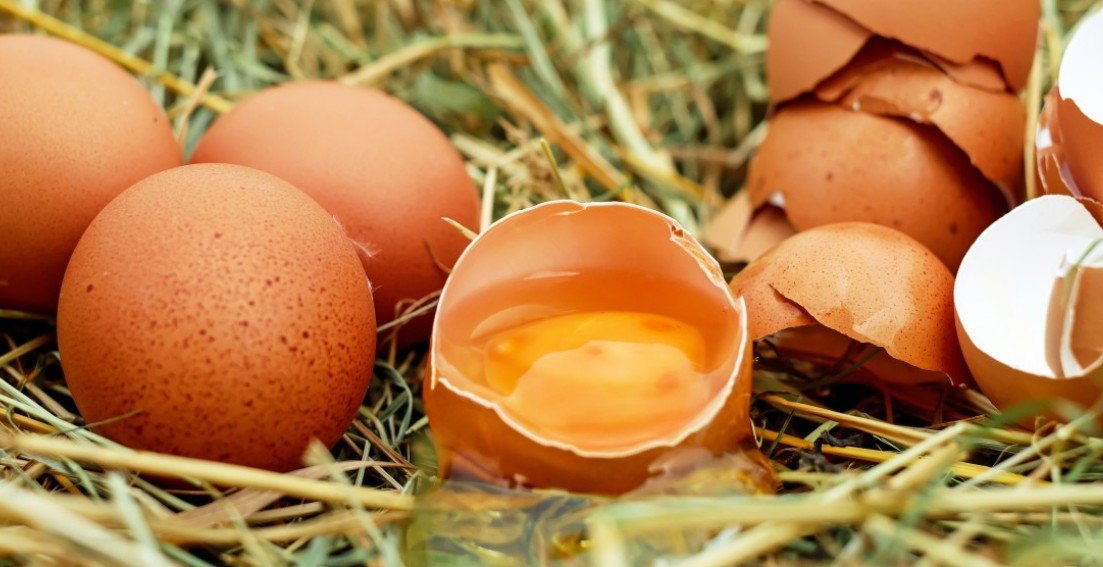 Яйца. Яйца птиц. Скорлупа яиц. Картинка яйца куриные.