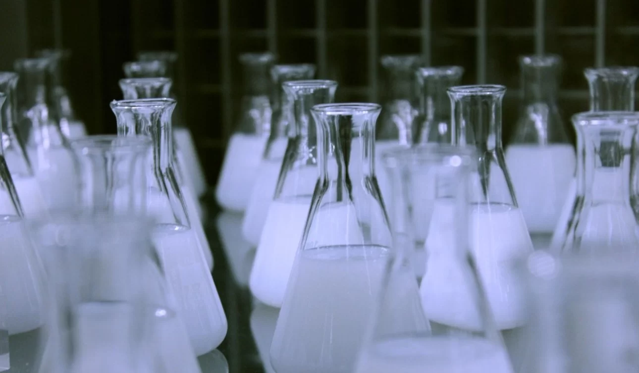 Учёные нашли «главный переключатель» паразита в мозге… 