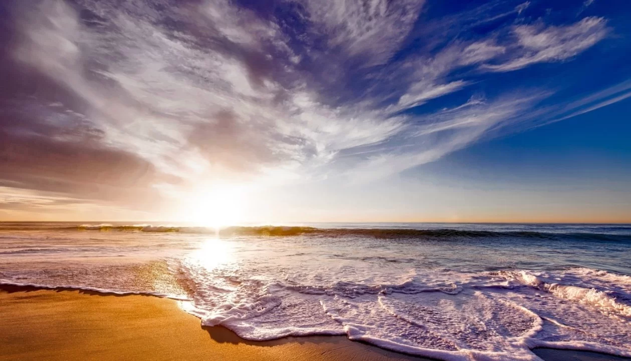 Потепление охватило четверть океана и грозит экосистеме полным… 