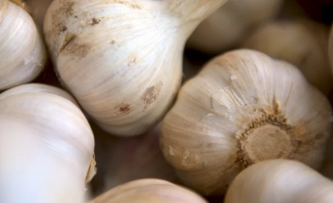 Ученые назвали эффективное природное средство для защиты от кариеса