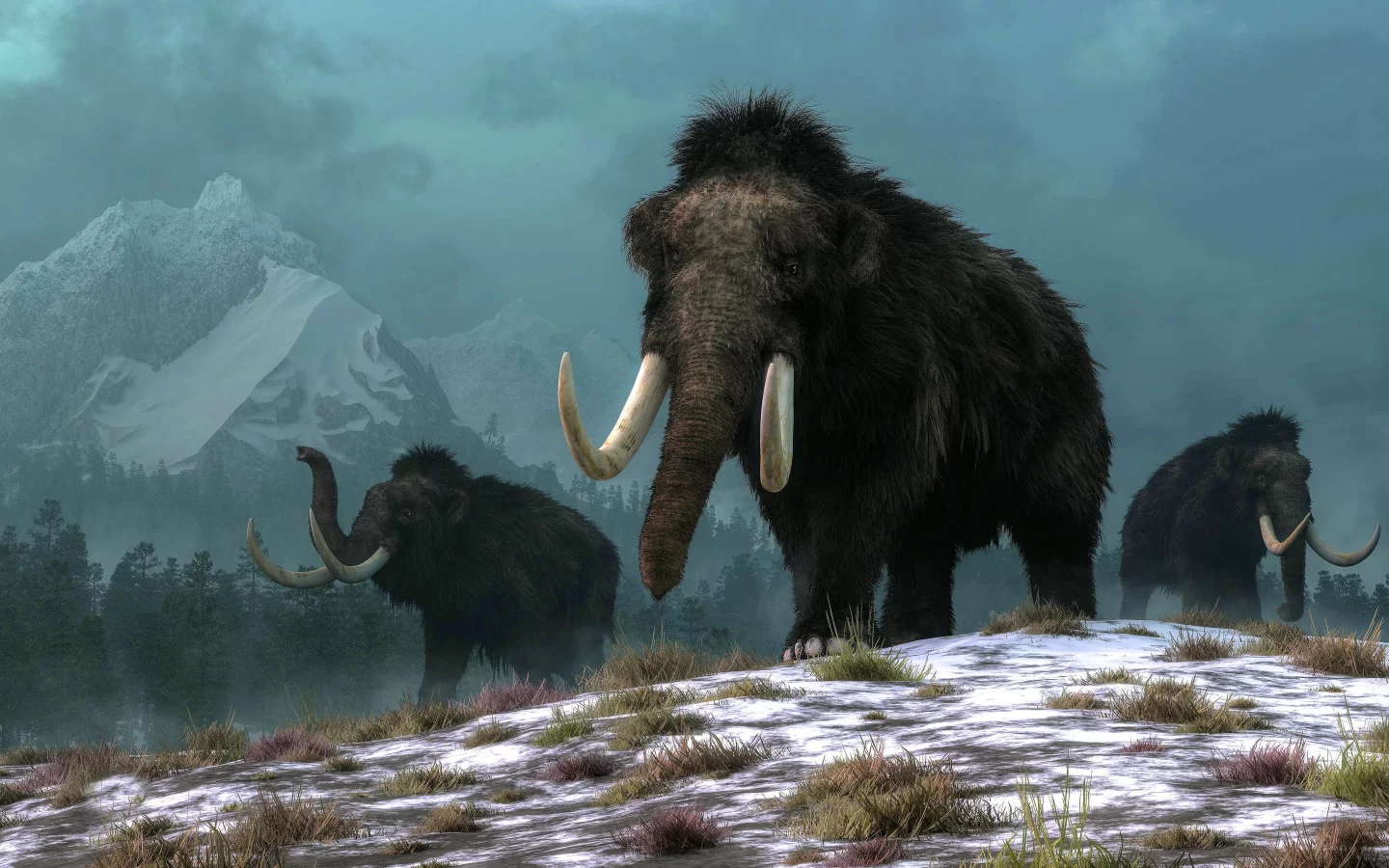 Деревня из костей мамонта в Брянской области оказалась старше, чем считалось