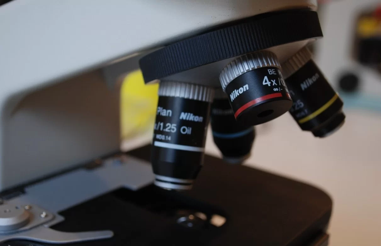 Ученые рассказали, что амилоидные бляшки в женском мозге наносят урон при Альцгеймере