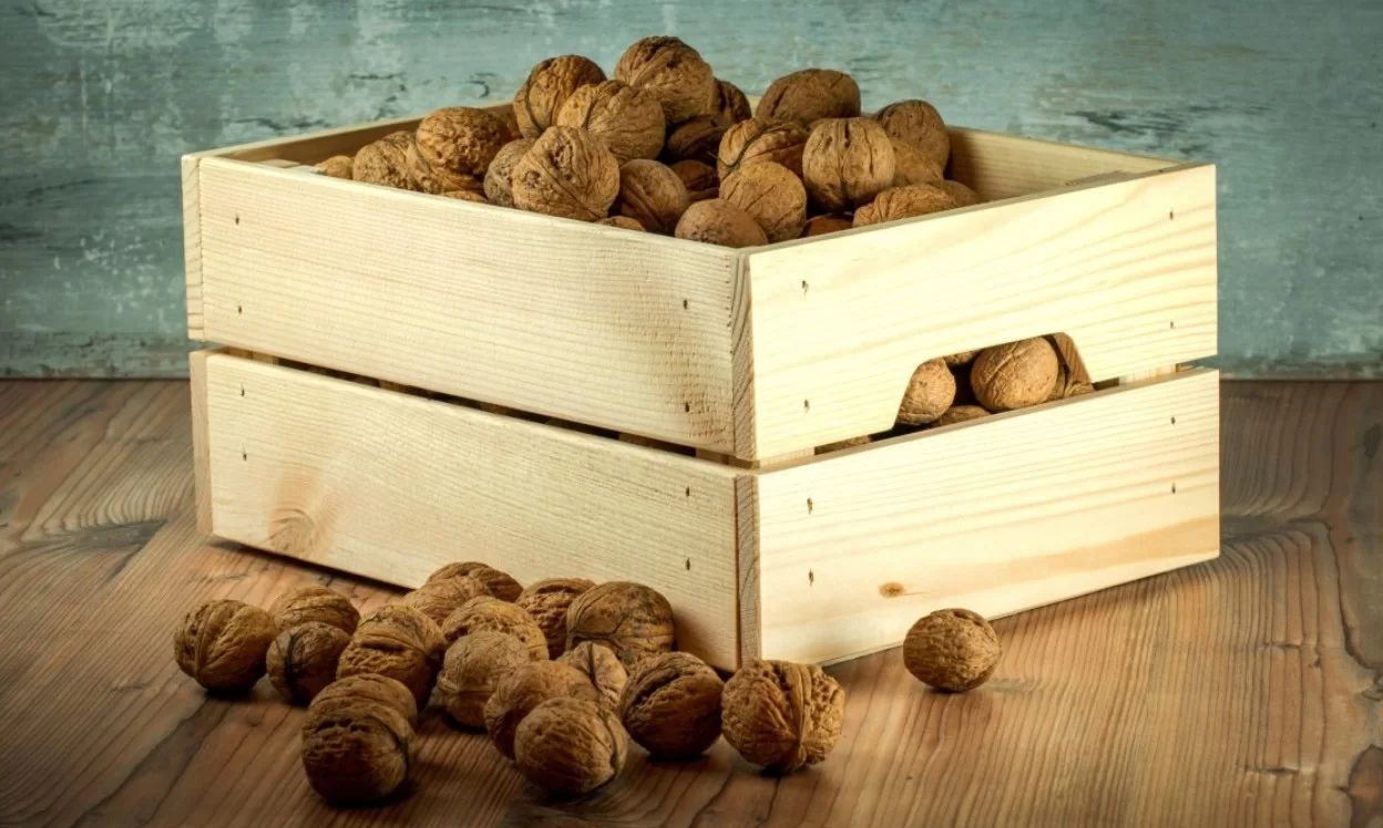 Пептиды грецкого ореха и аминокислоты теанина улучшают качество сна