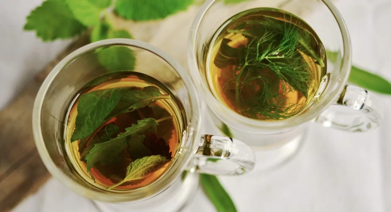 Прошло исследование: Три чашки чая в день снижают реальный возраст