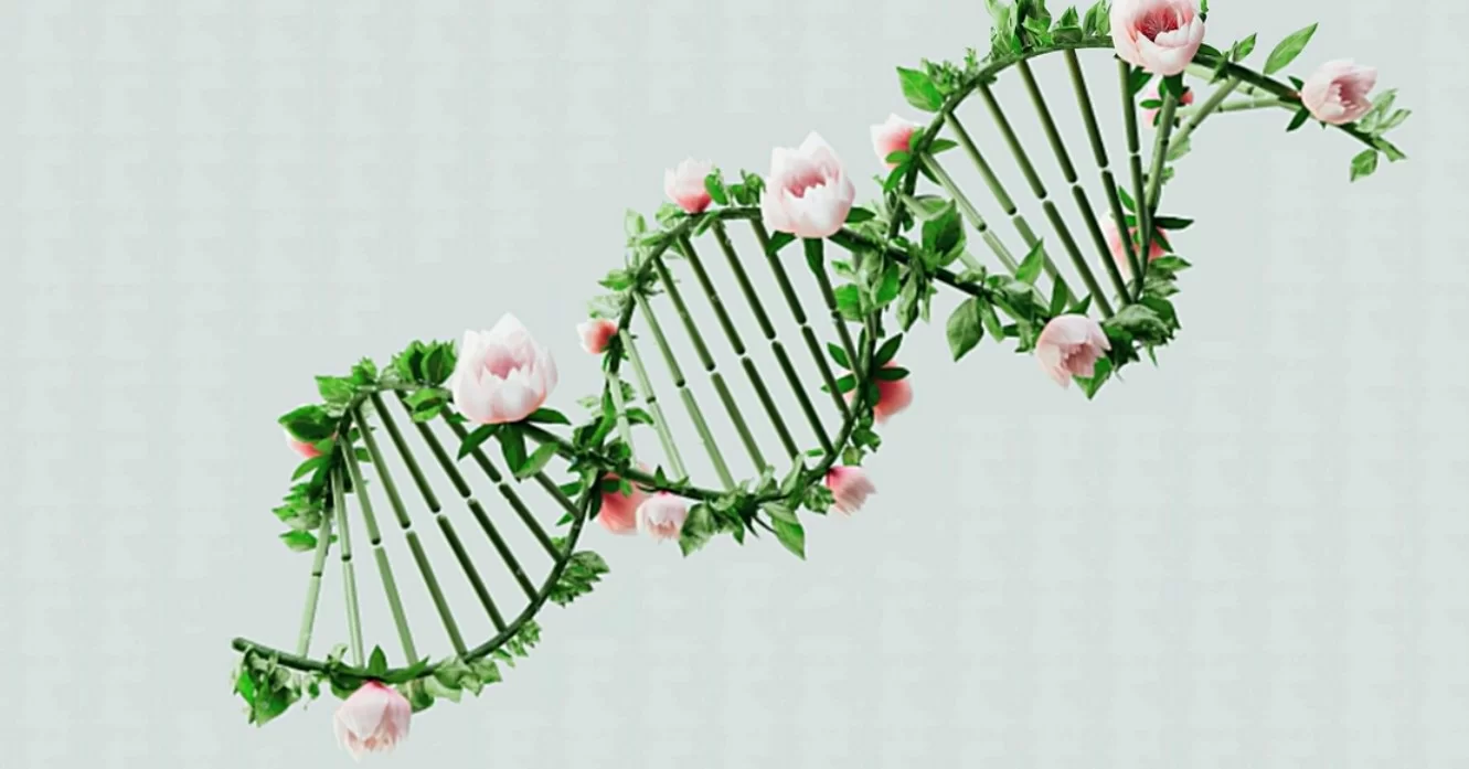 Ученые нашли у сохранивших ясность ума «супердолгожителей» генетическую мутацию