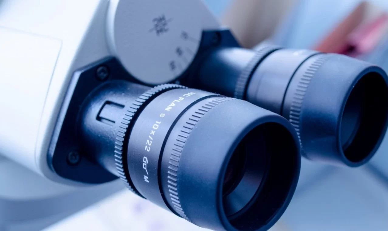 Российские ученые изучили реакцию человеческих кардиомиоцитов на аналог адреналина