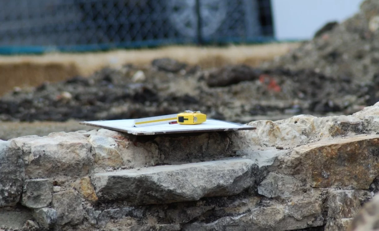 В Забайкалье нашли ископаемых насекомых, уточняющих возраст местных пород