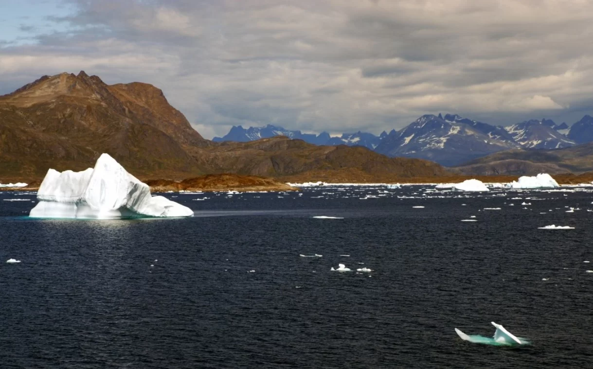 Палеонтологи нашли в Гренландии древние останки, способные изменить учебники