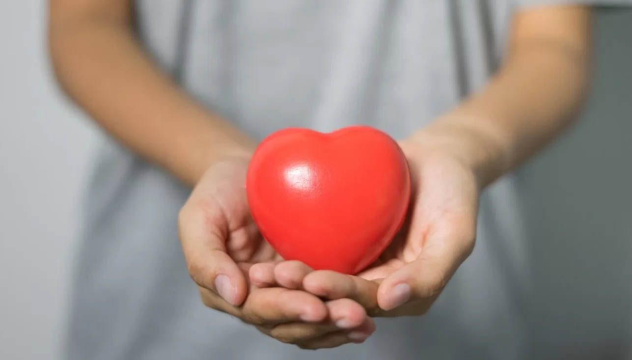 Прошло исследование: Сердце может восстанавливать клетки после инфаркта