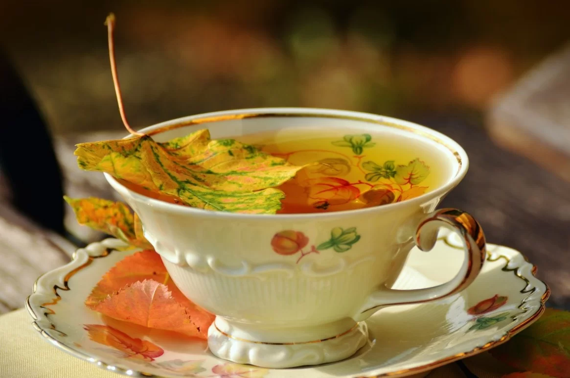 Ученые из Японии чай из черники улучшает качество сна