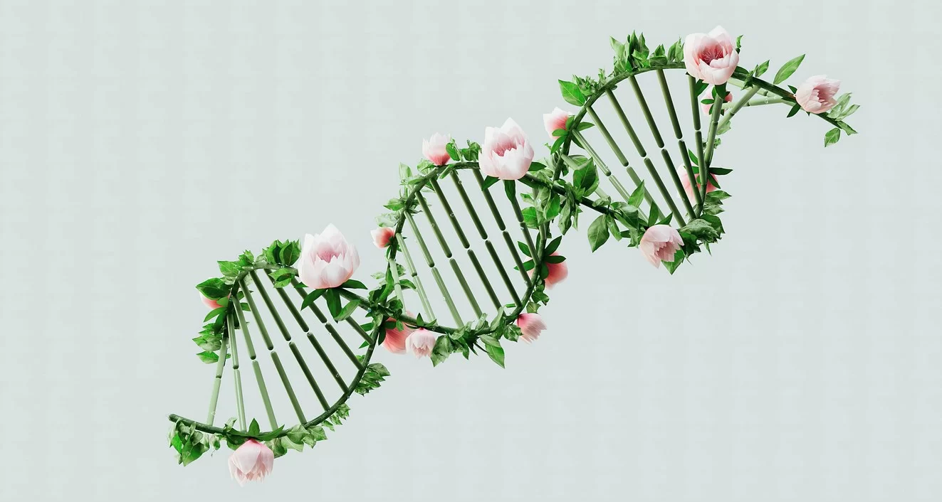 Ученые из Японии научились расшифровывать ДНК с помощью нагреватели