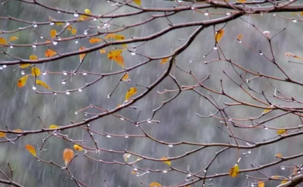 Ученые разработали экологичный материал для борьбы с гололедом