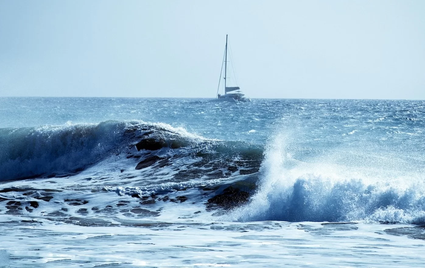 Экосистема Северной Атлантики продолжает ощущать последствия волны тепла 2003 года