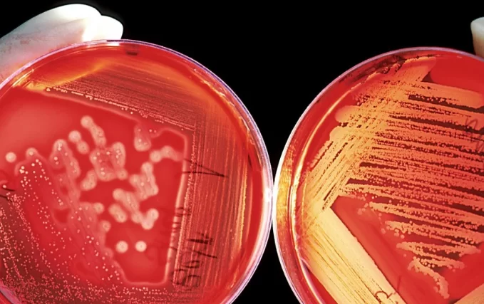 Бурятские учёные создали «космический полимер», не поддающийся радиации