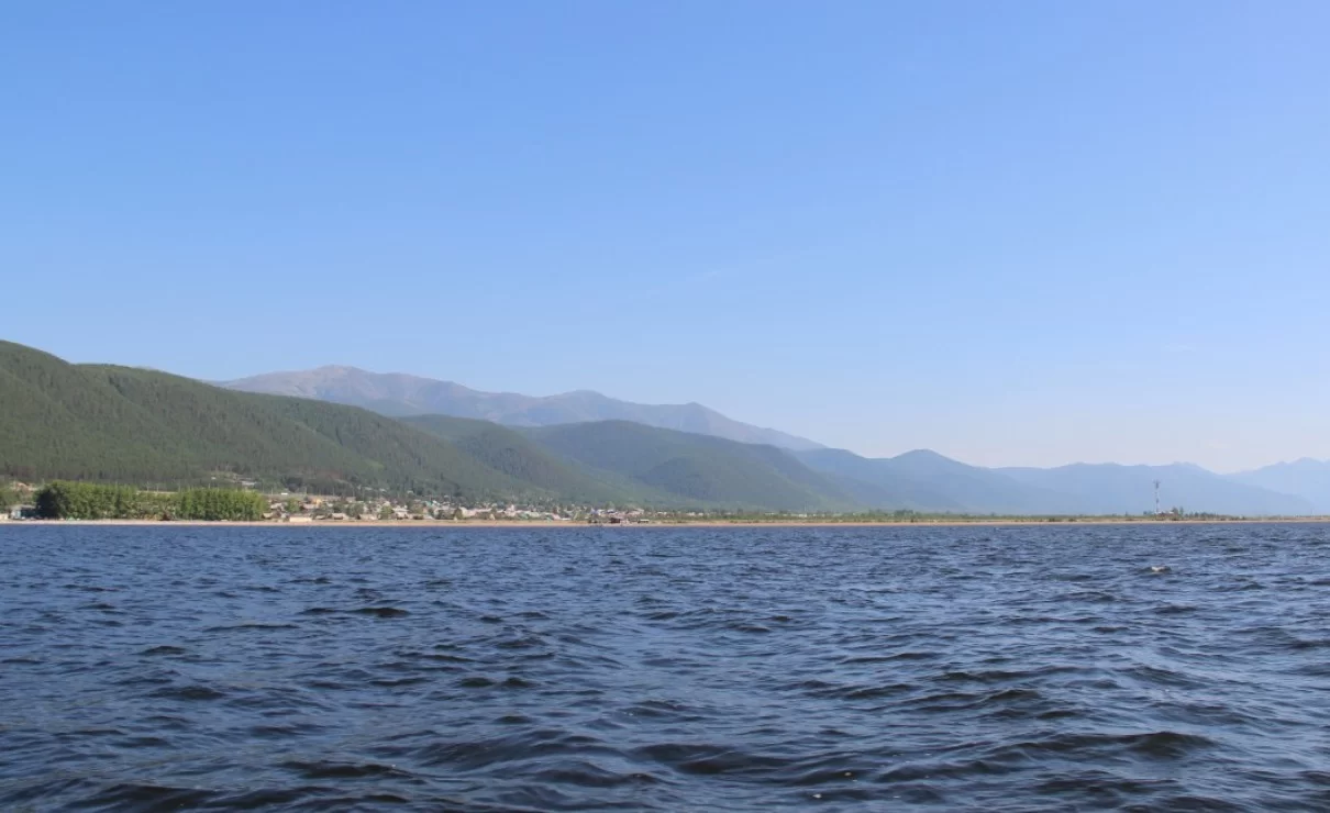 Российские учёные обнаружили в планктоне Байкала 47 ранее неизвестных ДНК-вирусов