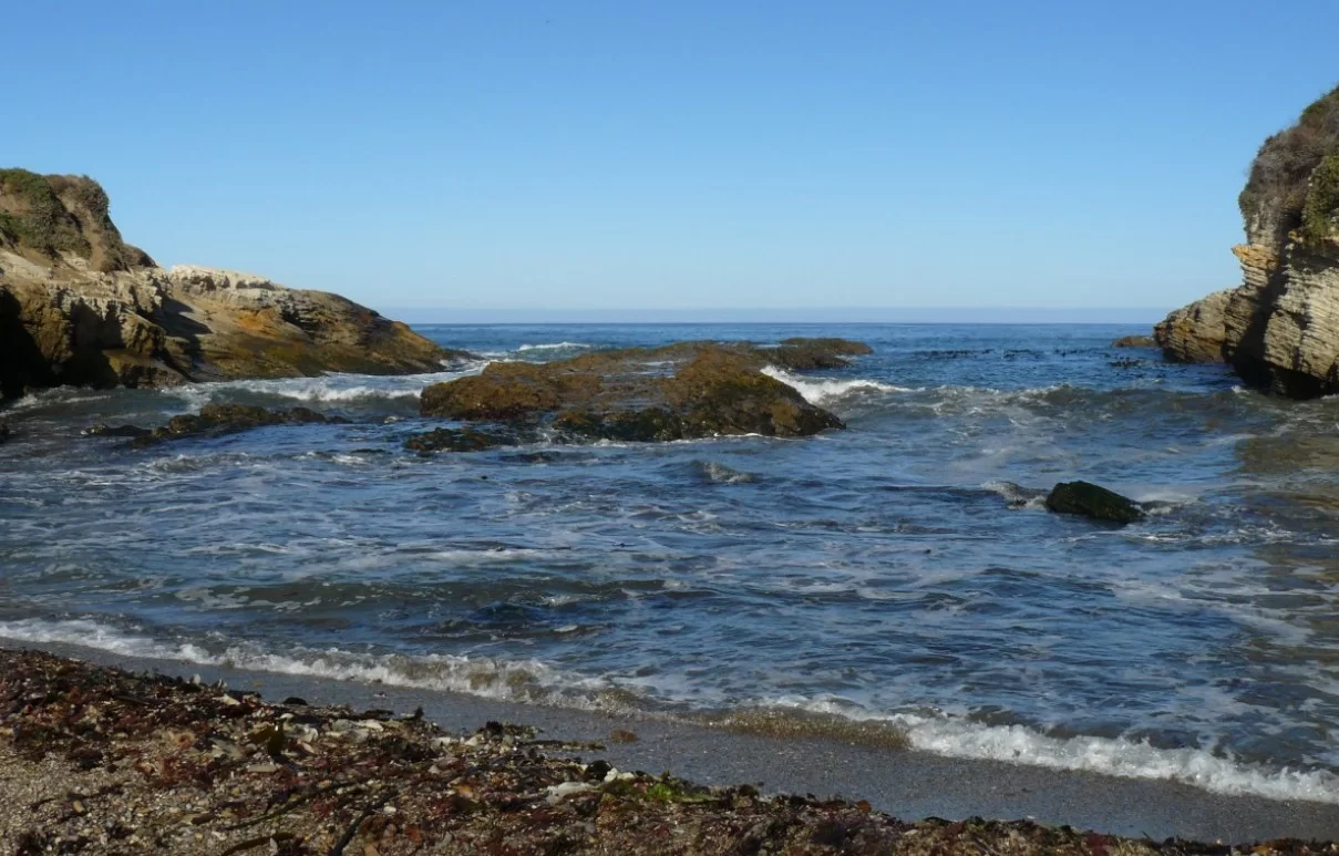 Ученые зафиксировали кислород на глубине Тихого океана без солнечного света