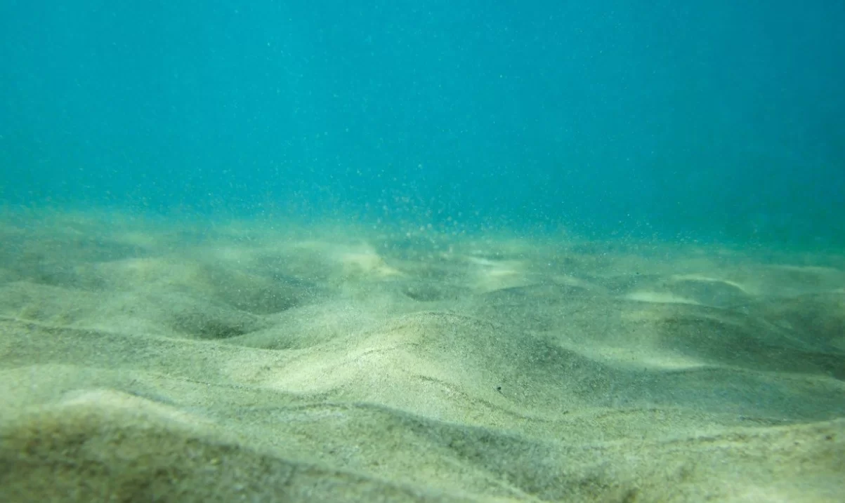 Американские учёные назвали дату, когда Солнце может погубить жизнь на Земле