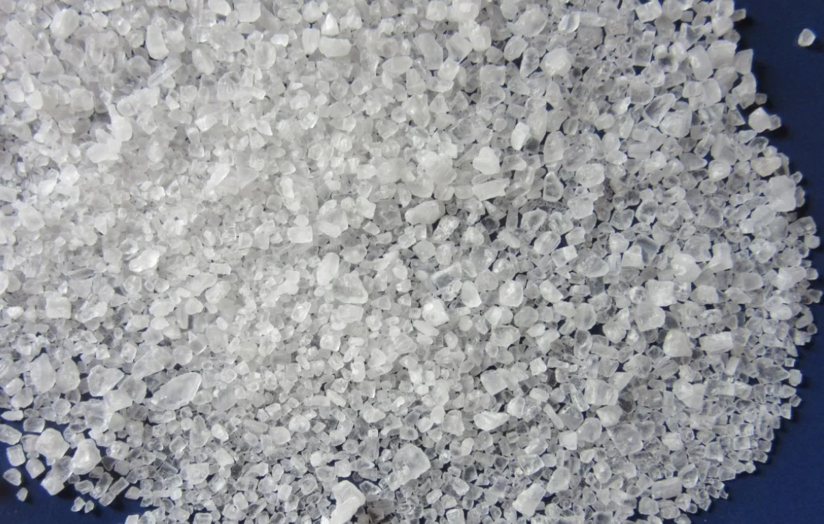 Исследование показало влияние соли на кишечник и мозг мышей