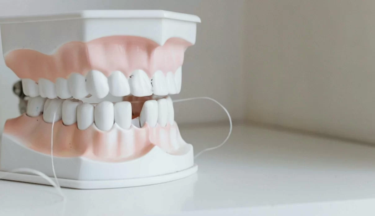 Ученые из Тохоку связали неправильный прикус с выпадением зубов у взрослых