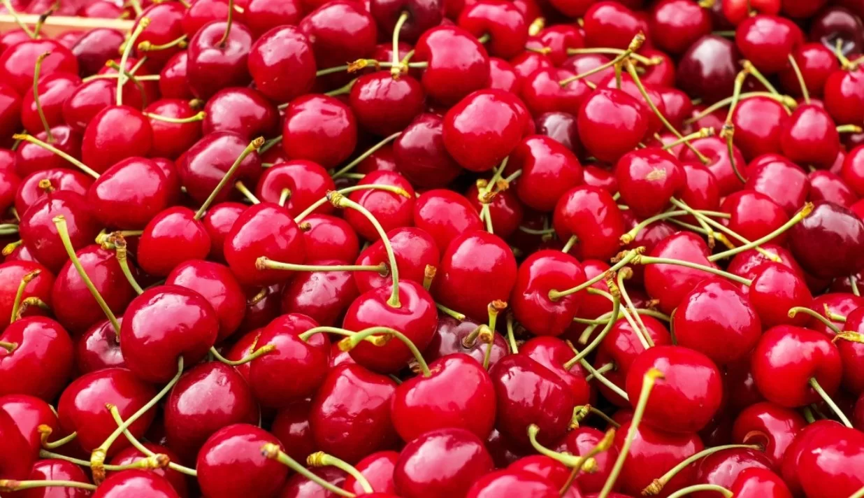 Выявили пользу черники и вишни для сердца