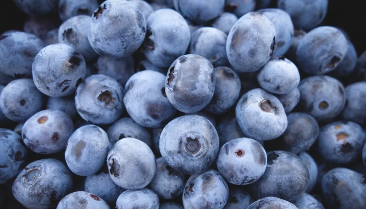 В России разработали ягодно-овощное пюре для поддержки нервной системы