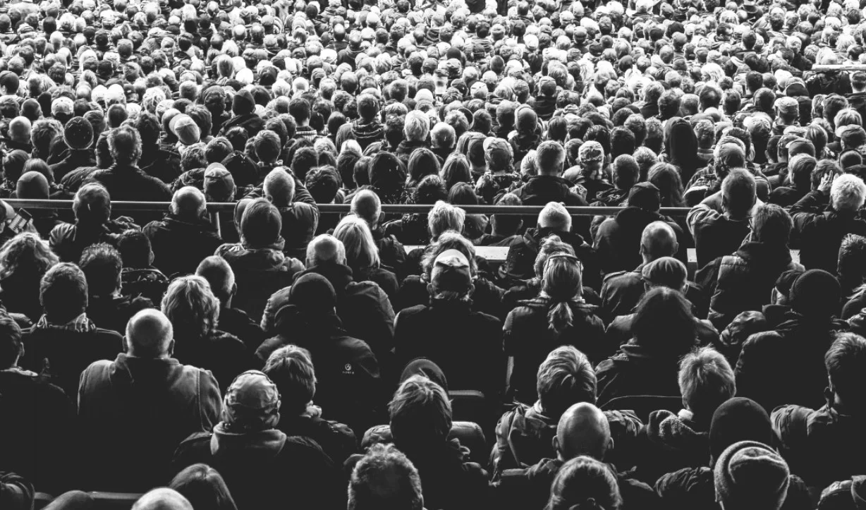 Учёные выяснили, как активность клеток формирует различия лиц ещё на эмбриональном этапе