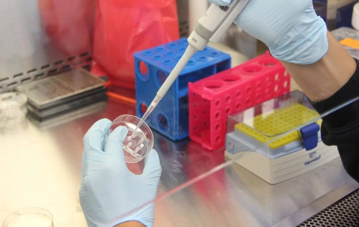 Американские генетики объяснили появление «неандертальских пустынь» в X-хромосоме