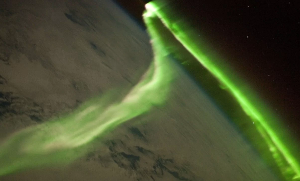 Сибирские учёные обнаружили, что наночастицы оксида марганца защитили мозг от радиации