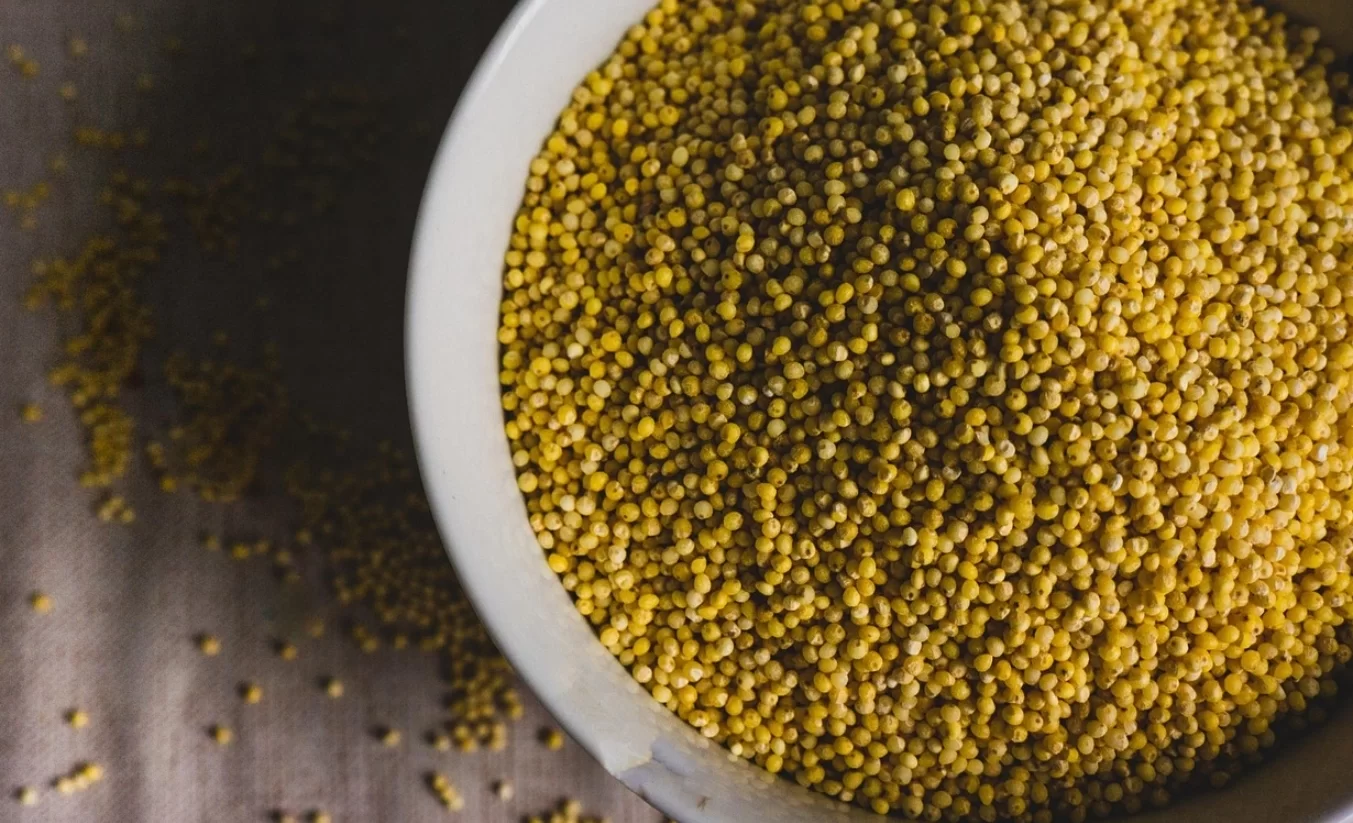 Ученые назвали самой полезной кашей пшенную