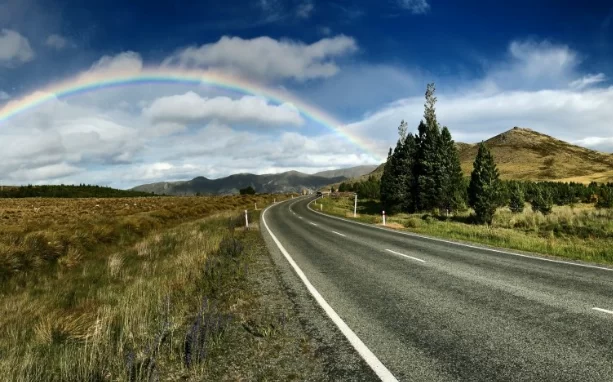 Луга на планете исчезают почти в четыре раза быстрее лесов