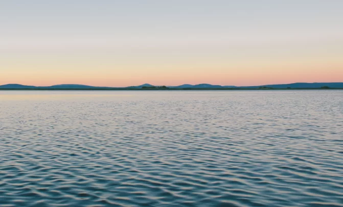 Южнокорейские учёные воссоздали «морской шёлк» возрастом 2000 лет