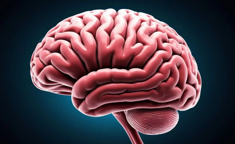 Ученые из России и Китая нашли новую причину развития болезни Альцгеймера