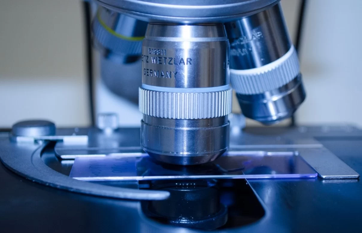 Учёные из Science Tokyo раскрыли, как LGP2 активировал MDA5 для защиты от вирусов