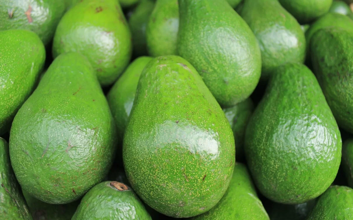 Ежедневное употребление авокадо и манго помогает улучшить здоровье сердца