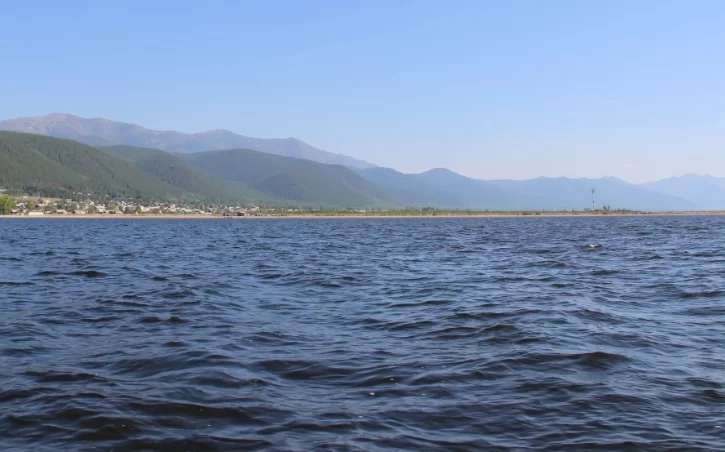 Ученые призвали запретить промышленный лов частиковых рыб в Азовском море